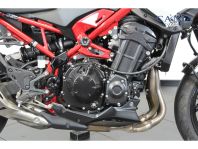 Kawasaki Z 900 ABS 2025